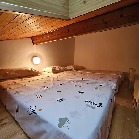 Kwatera prywatna Rifugio Guglielmo E Giovanni Pelizzo *