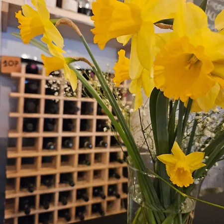 Kwatera prywatna Rifugio Guglielmo E Giovanni Pelizzo *