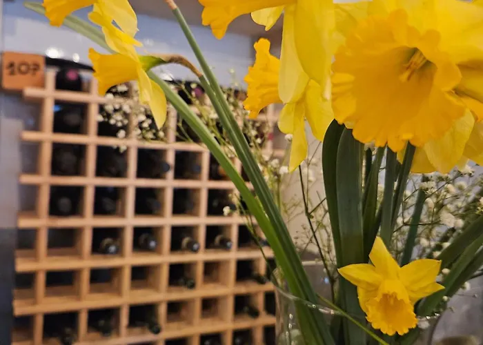 Homestay Rifugio Guglielmo E Giovanni Pelizzo *